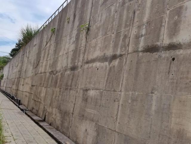 震后他们迅速行动确保城市安全运行……亿博电竞 亿博官网(图9)