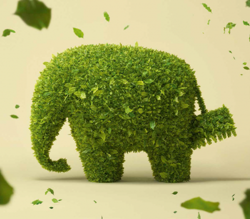 亿博电竞 亿博官网德爱威生物基涂料高质量环保之路从未懈怠(图2)
