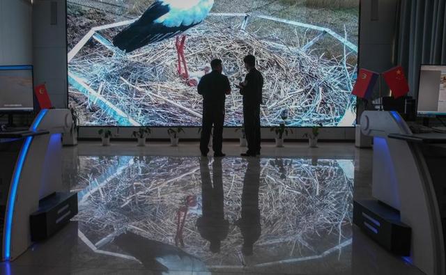 亿博电竞 亿博官网视频丨东营公安：筑牢黄河三角洲生态保护安全屏障(图2)