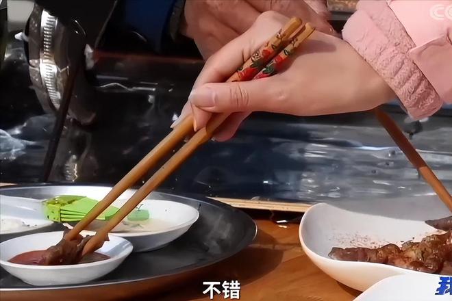 河北牛人发明太阳能亿博电竞 亿博官网烧烤炉安全环保易操作家庭户外都能烧烤(图8)