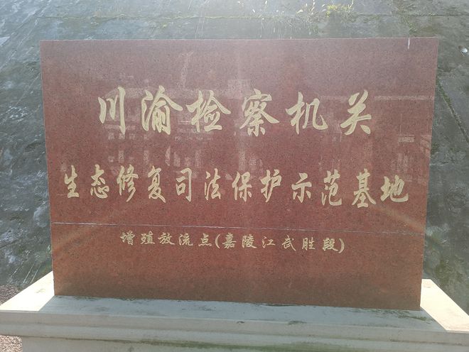 双亿博电竞 亿博官网城绿动话发展 川渝作家环保行丨走进武胜 见证生态之魅(图1)