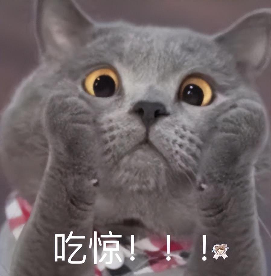 亿博电竞 亿博官网真正懂车的人买沃尔沃么？让安全环保与人性化设计共存(图1)