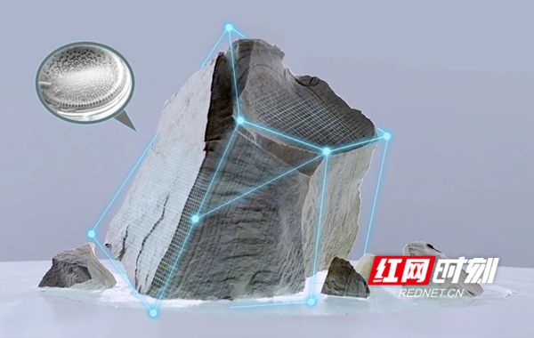蓝天豚亮相2022全亿博电竞 亿博官网国绿色建材下乡活动 助力美丽乡村建设(图2)