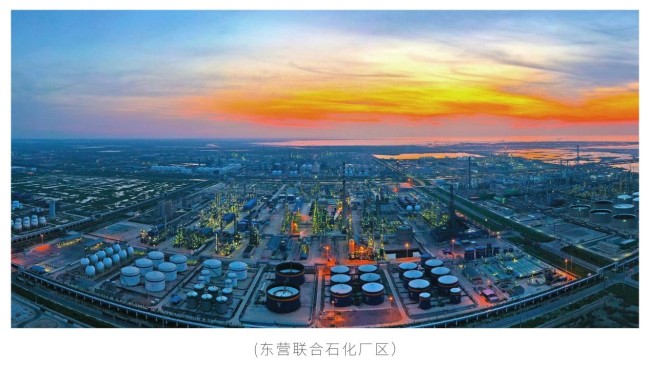 坚守实业 守正创新富海集团在“变”与“不变”中书写精彩亿博电竞 亿博官网(图5)