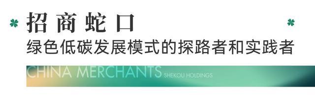 绿色低碳盛会！首届德中绿色建筑论坛成功亿博电竞 亿博官网举办(图3)