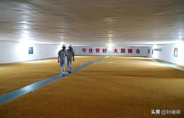 亿博电竞 亿博官网中国科学家研究后建议欧洲少吃肉多食素既环保又能保粮食安全(图5)