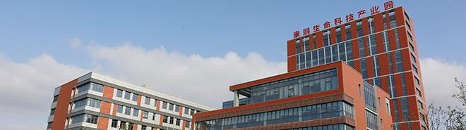 康鹏科技IPO：财务内控存在漏洞环保安全问题接连不断亿博电竞 亿博官网(图1)