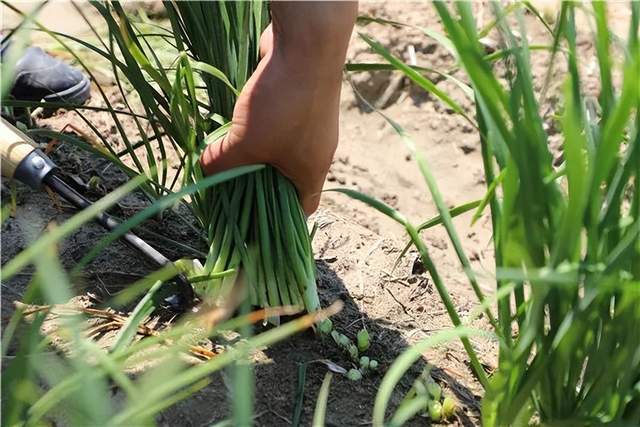 见证时间的力量：天健生物环保2022年度事记集锦亿博电竞 亿博官网(图16)
