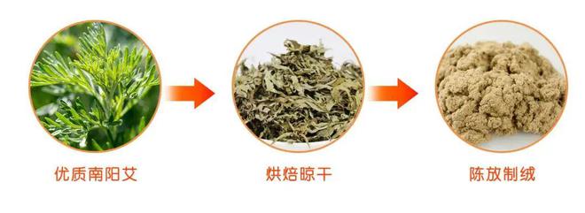有了这个“外骨骼”体态好了脖子不痛了还能随时随地做颈椎艾灸亿博电竞 亿博官网(图20)