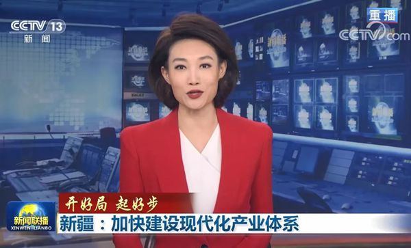 亿博电竞 亿博官网30多家矿企参加！新能源纯电动矿卡助力新疆矿山企业节能减排！(图2)