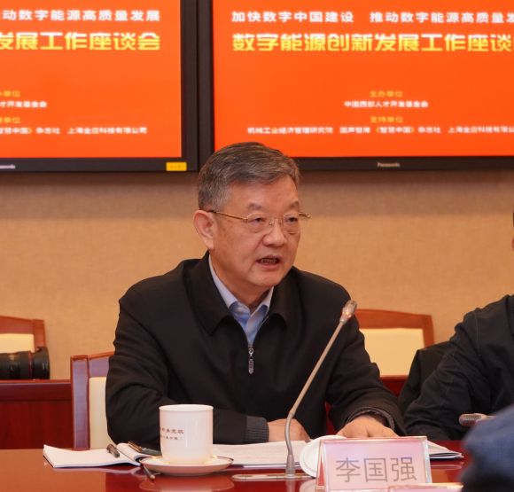 亿博电竞 亿博官网李国强：瞄准数字能源开辟双碳发展新赛道(图2)