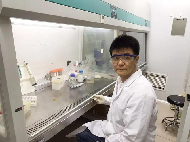 亿博电竞 亿博官网被Nature亮点报道！清华大学陶磊团队研发出更安全、更环保的防晒霜！(图1)