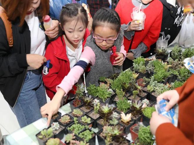 地球一小时 亿博电竞 亿博官网关上灯点亮希望(图9)
