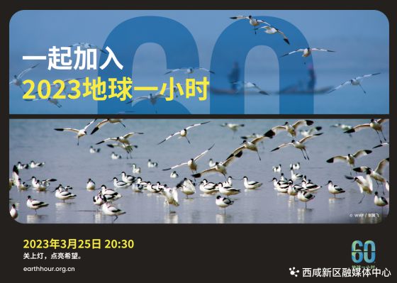 亿博电竞 亿博官网西咸新区2023年“地球一小时”倡议书(图2)