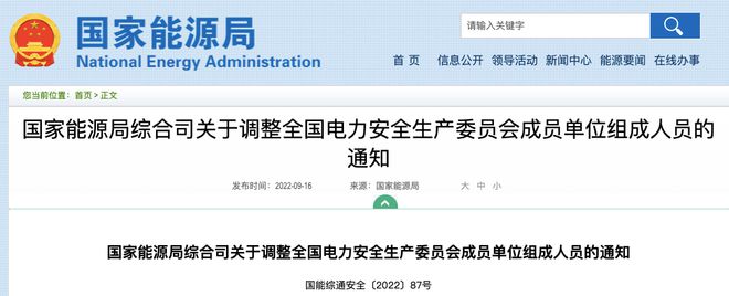 亿博电竞 亿博官网全国电力安委会组成人员名单！(图1)