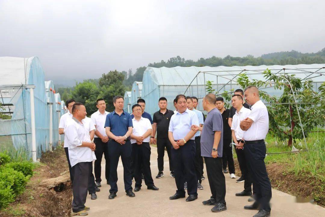 亿博电竞 亿博官网王文全调研工业企业发展、安全生产和生态环境保护等工作(图4)