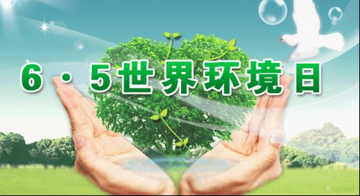 亿博电竞 亿博官网个世界环境日：践行绿色生活(图1)