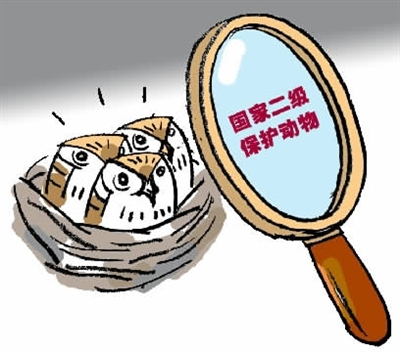 亿博电竞 亿博官网2015检察人物榜：那些忙忙碌碌的身影(图20)