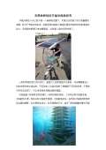 节能环保小亿博电竞 亿博官网妙招(图22)