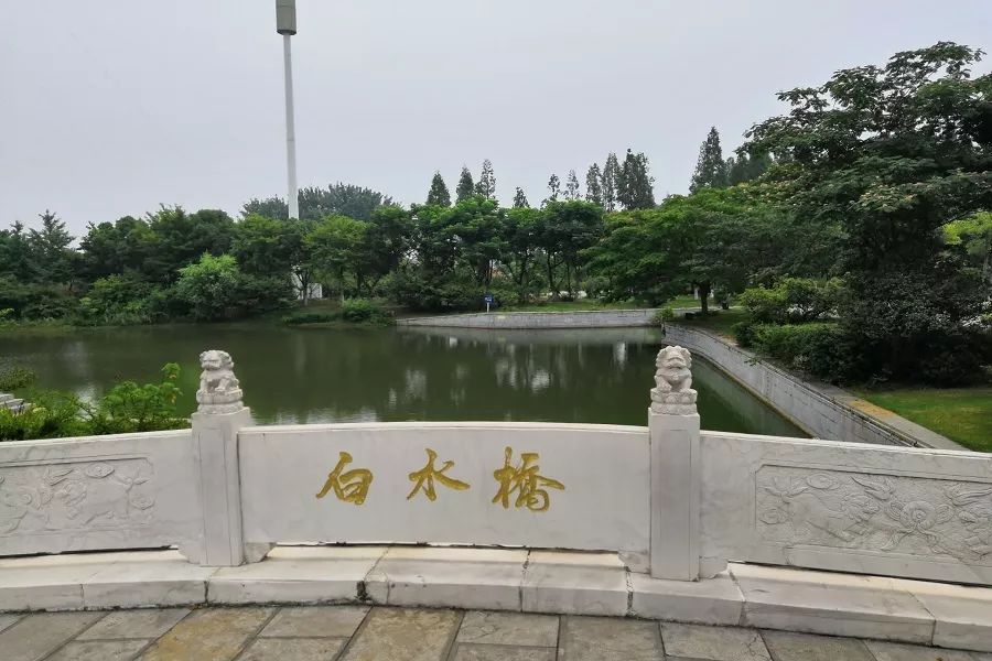 三下乡心得护卫洪泽湖环保心得（一）亿博电竞 亿博官网(图1)