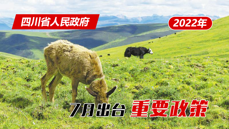 亿博电竞 亿博官网政策回顾：四川省人民政府2022年7月出台重要政策(图21)