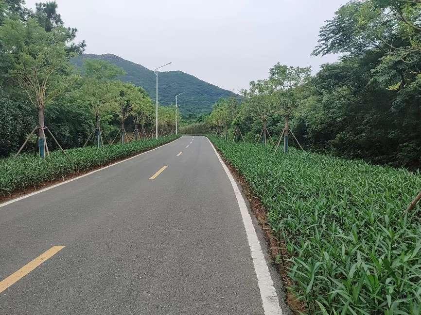 亿博电竞 亿博官网坚持节约发展新理 探索规划建设新举措(图1)