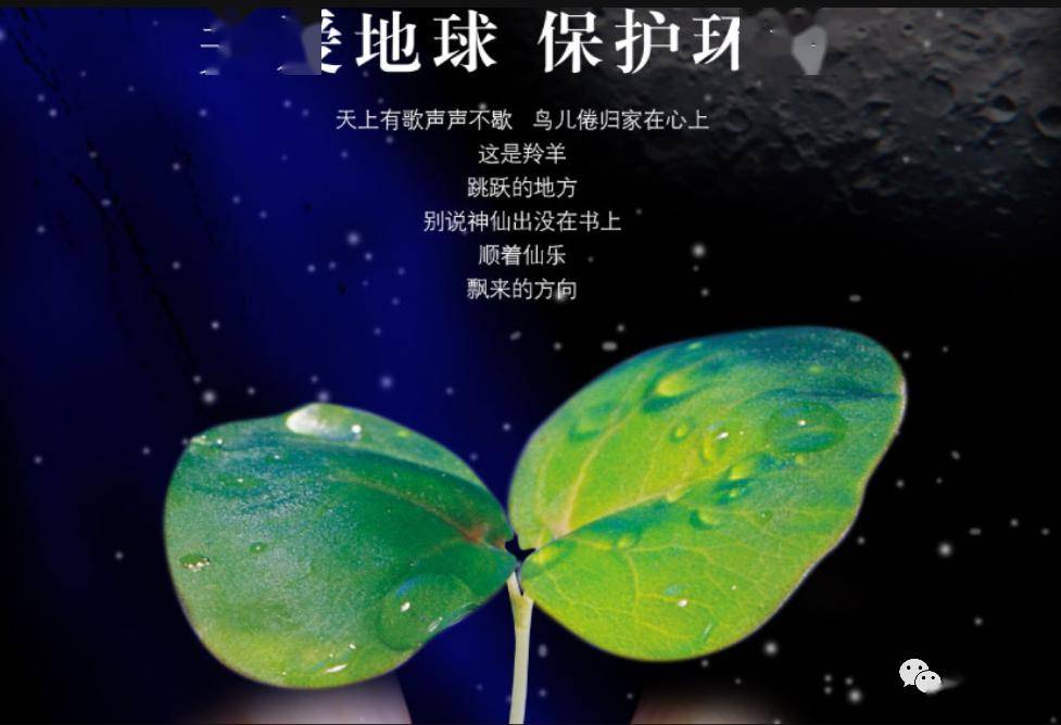 自然周谈环境保护的重亿博电竞 亿博官网要性(图1)