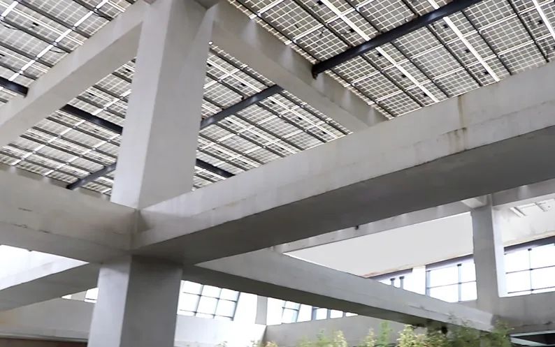 海报亮相国际图联大会！深圳坪山持续开展图书馆绿色建设新实践亿博电竞 亿博官网(图8)
