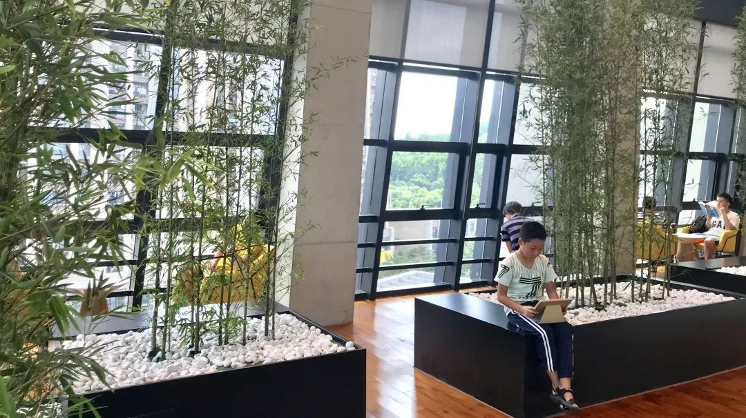 海报亮相国际图联大会！深圳坪山持续开展图书馆绿色建设新实践亿博电竞 亿博官网(图10)