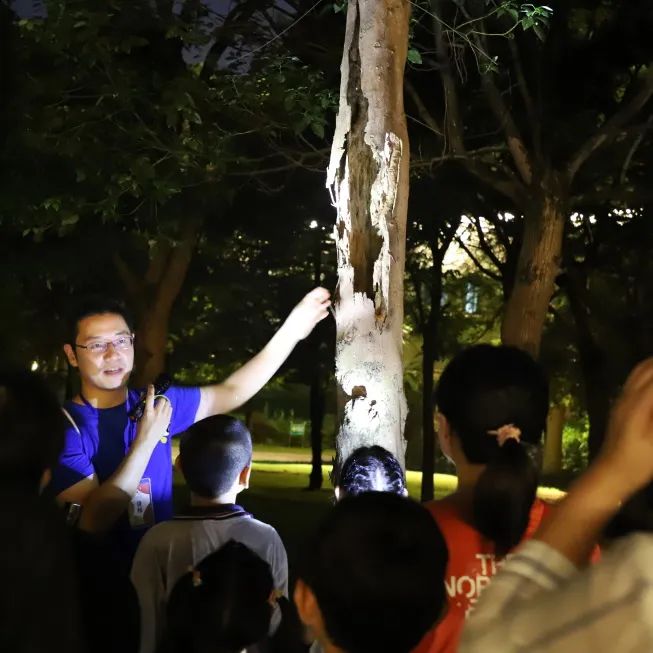 海报亮相国际图联大会！深圳坪山持续开展图书馆绿色建设新实践亿博电竞 亿博官网(图17)