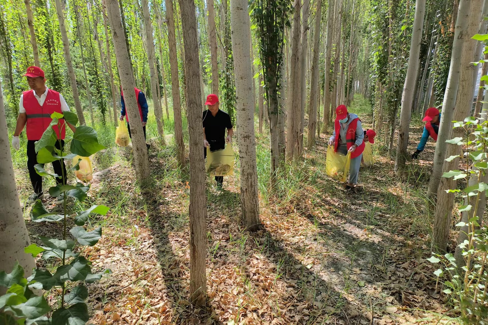 焉耆：呵护美好家园共筑美丽生态亿博电竞 亿博官网(图2)