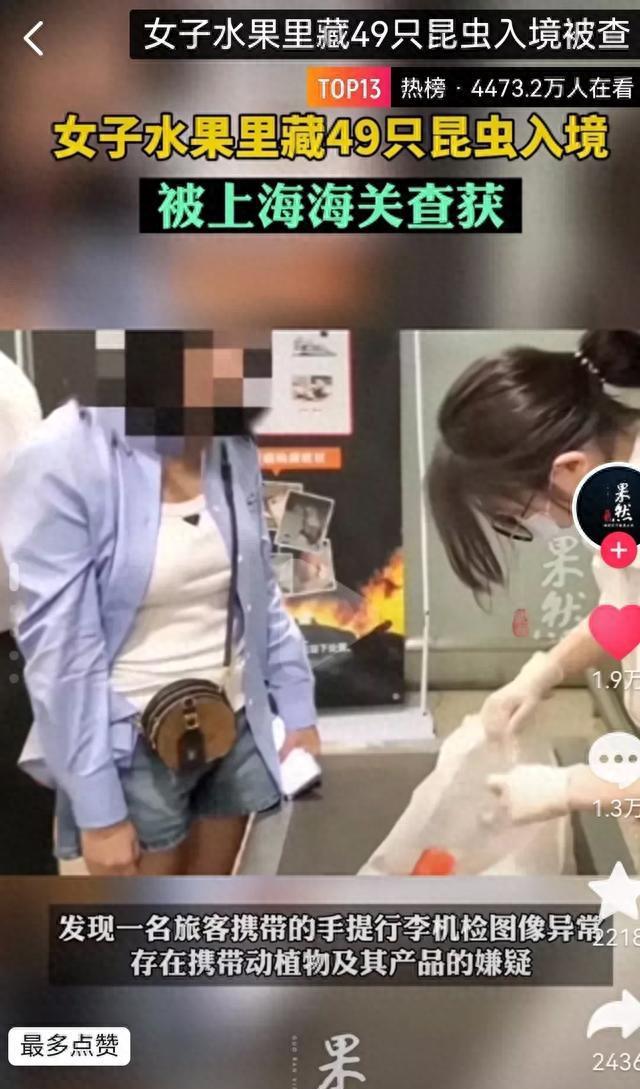 亿博电竞 亿博官网揭露生态安全重要性：禁止非法贸易保护民生安全(图1)