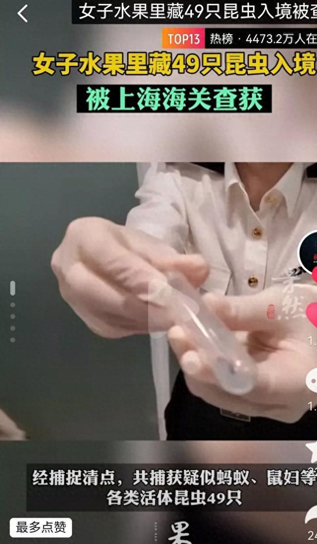 亿博电竞 亿博官网揭露生态安全重要性：禁止非法贸易保护民生安全(图2)