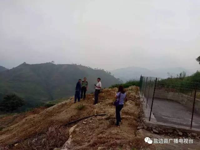 【绿色攀枝花·盐亿博电竞 亿博官网边篇】这样的调查问卷我也填一份！(图8)
