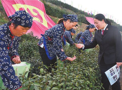 第八个“全民国家安全教育日”系列报道之生态安全亿博电竞 亿博官网(图2)
