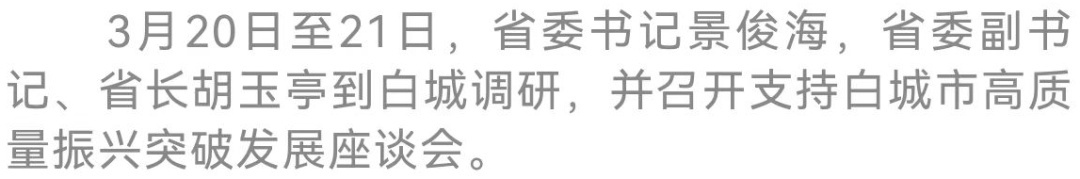 亿博电竞 亿博官网景俊海胡玉亭到白城调研并召开支持白城市高质量振兴突破发展座谈会(图6)