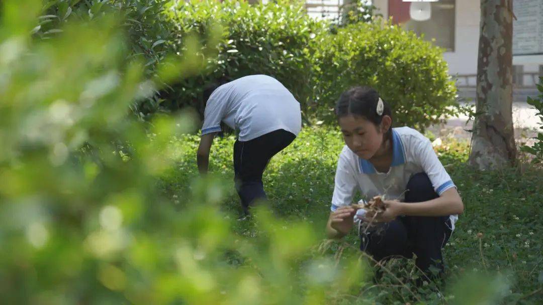 谢集镇：节能减排 共筑绿色校园亿博电竞 亿博官网(图3)