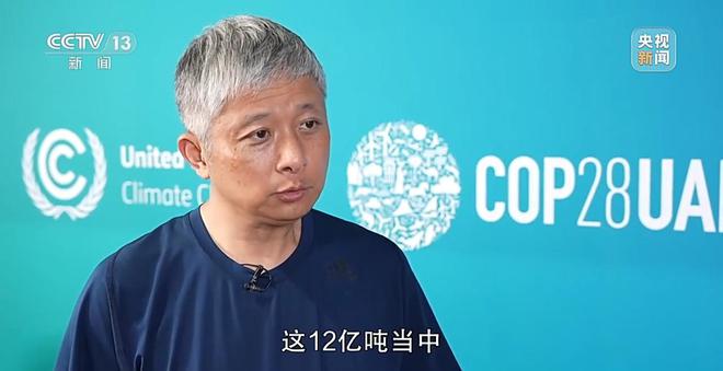 新闻周刊丨减碳中国在这个过程中扮演着怎样的角色？亿博电竞 亿博官网(图2)