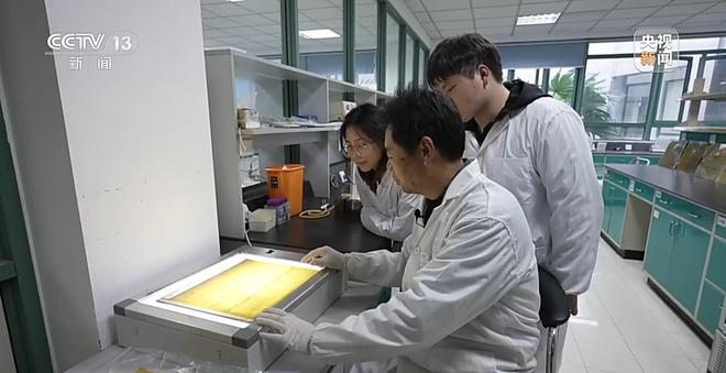 新闻周刊丨减碳中国在这个过程中扮演着怎样的角色？亿博电竞 亿博官网(图21)