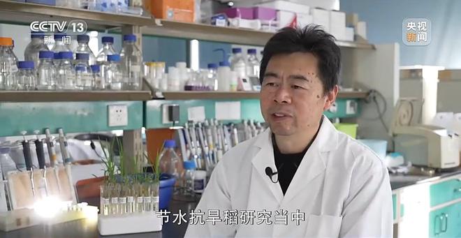 新闻周刊丨减碳中国在这个过程中扮演着怎样的角色？亿博电竞 亿博官网(图20)
