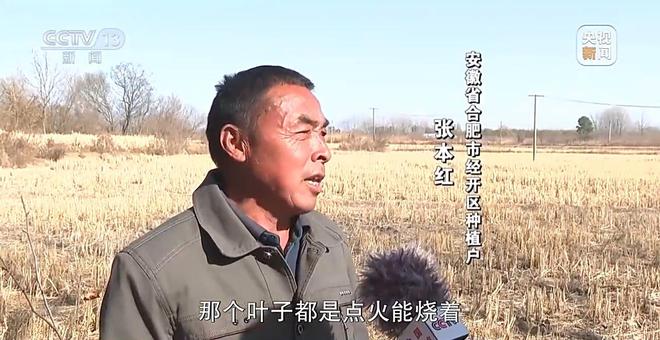 新闻周刊丨减碳中国在这个过程中扮演着怎样的角色？亿博电竞 亿博官网(图23)