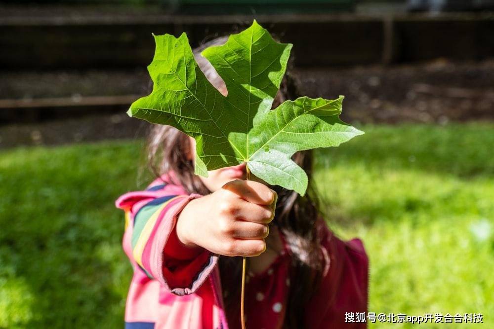 亿博电竞 亿博官网环保类APP开发类型合集(图1)