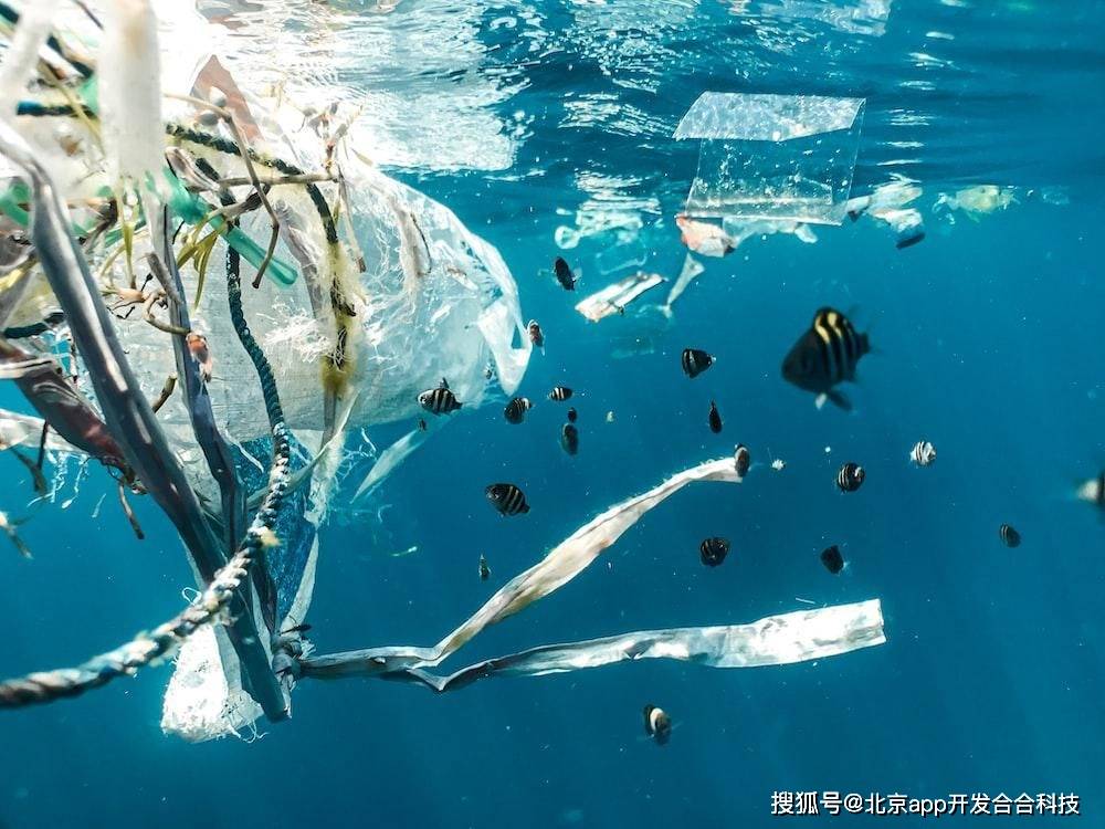亿博电竞 亿博官网环保类APP开发类型合集(图2)