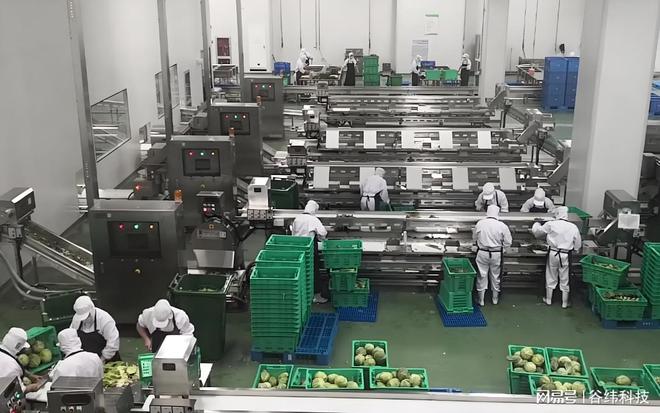 高效净亿博电竞 亿博官网菜加工设备：提升食品安全与生产效率的新选择(图1)