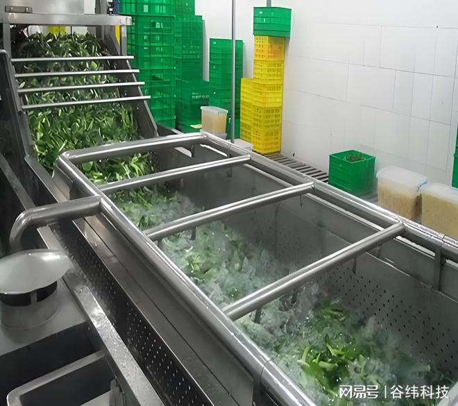 高效净亿博电竞 亿博官网菜加工设备：提升食品安全与生产效率的新选择(图3)