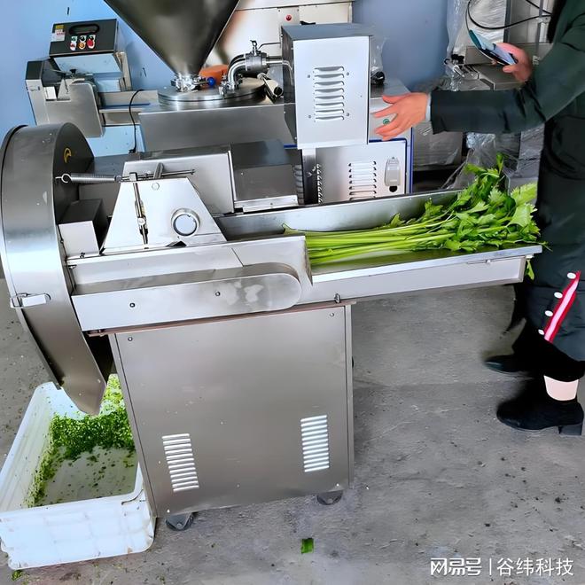 高效净亿博电竞 亿博官网菜加工设备：提升食品安全与生产效率的新选择(图4)