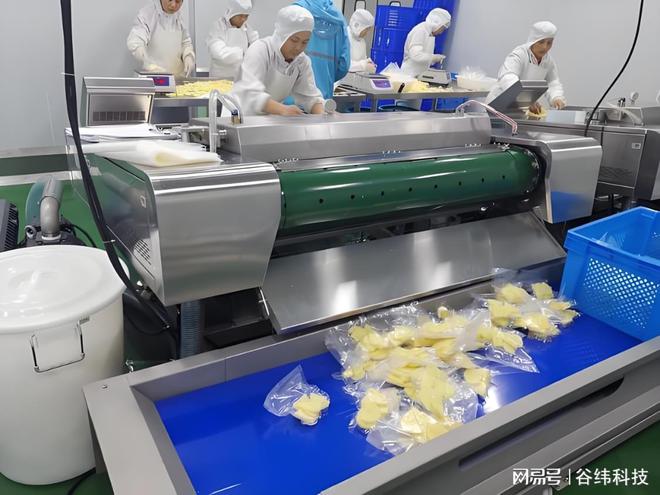 高效净亿博电竞 亿博官网菜加工设备：提升食品安全与生产效率的新选择(图5)