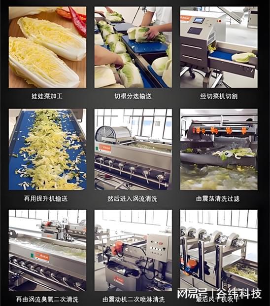 高效净亿博电竞 亿博官网菜加工设备：提升食品安全与生产效率的新选择(图7)