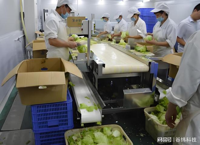 高效净亿博电竞 亿博官网菜加工设备：提升食品安全与生产效率的新选择(图6)