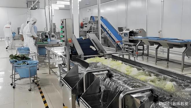 高效净亿博电竞 亿博官网菜加工设备：提升食品安全与生产效率的新选择(图8)